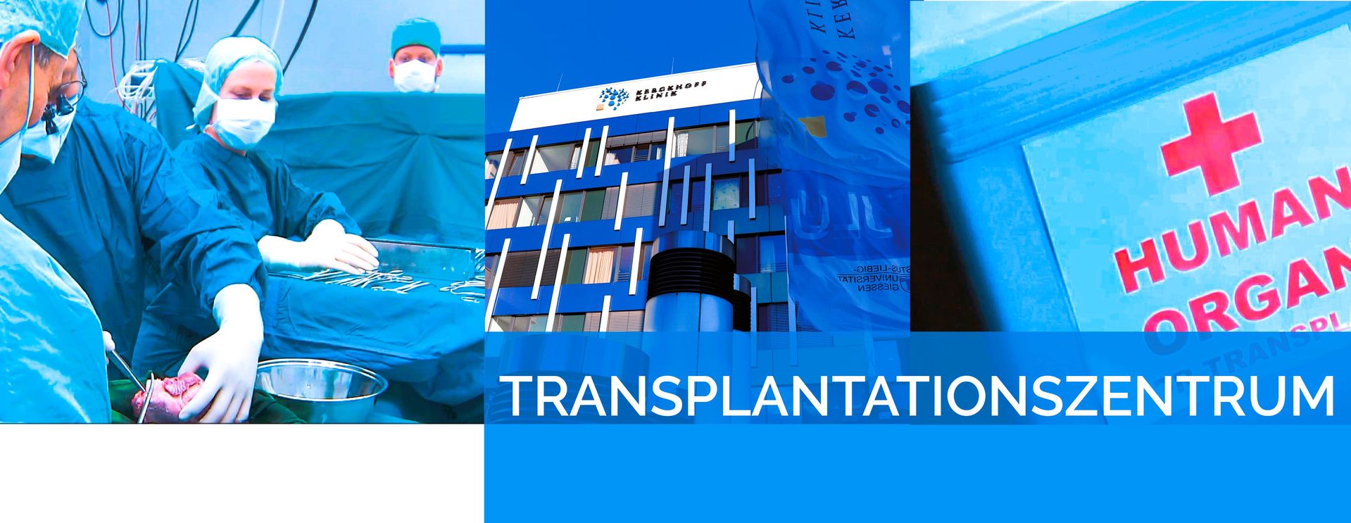 Transplantationszentrum Kerckhoff-Klinik