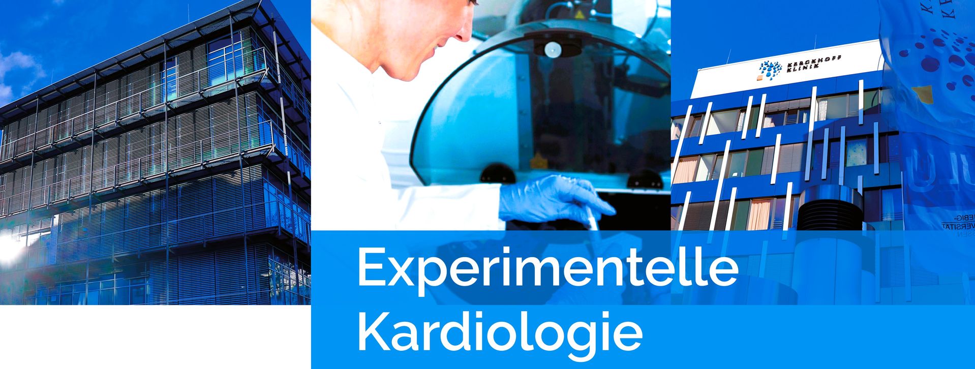 Experimentelle Kardiologie