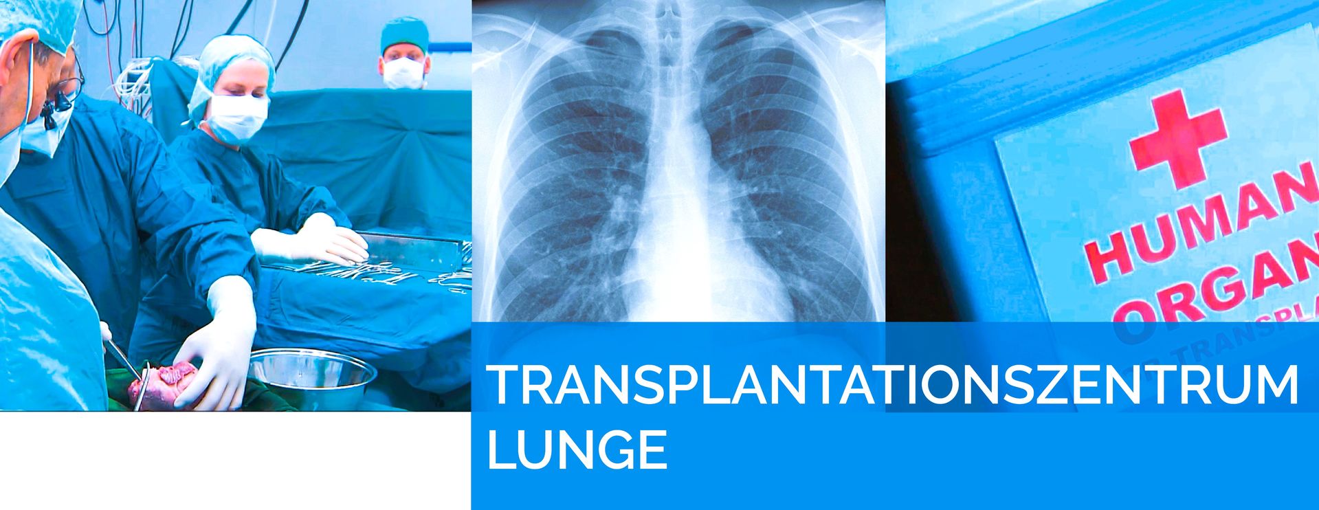 Lungentransplantationszentrum