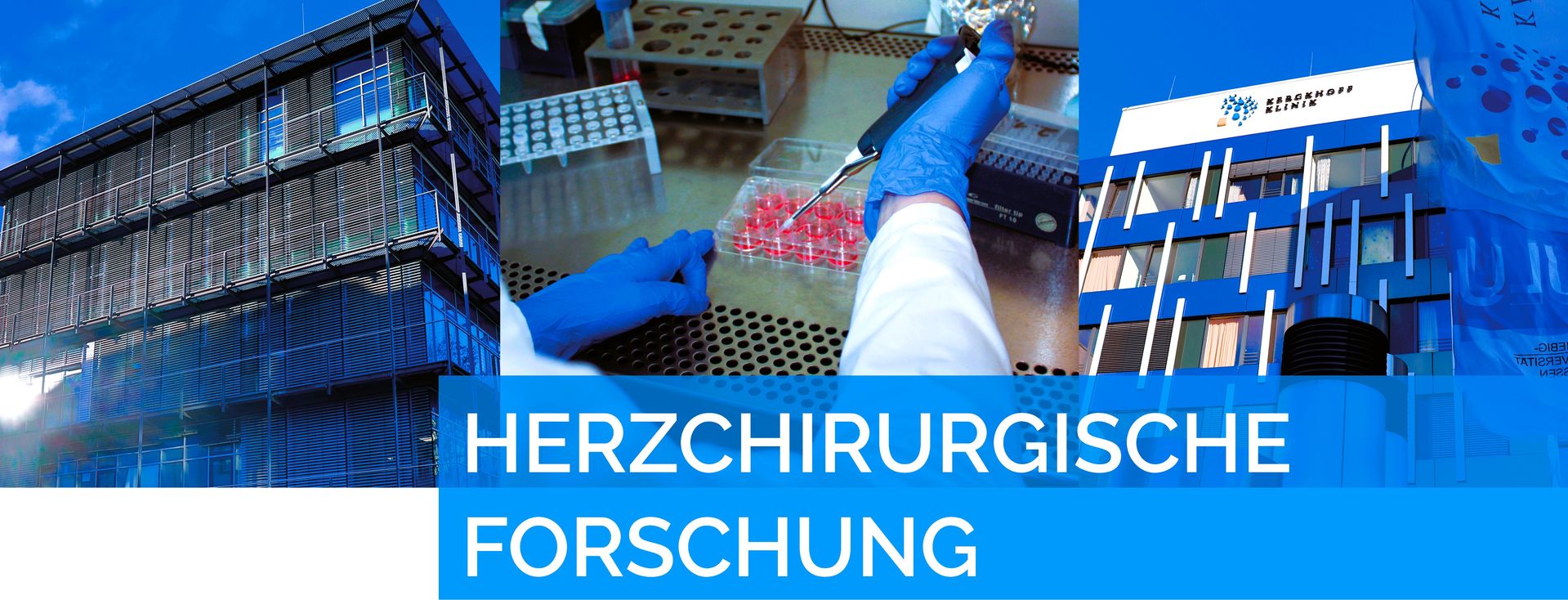 Herzchirurgische Forschung an der Kerckhoff-Klinik