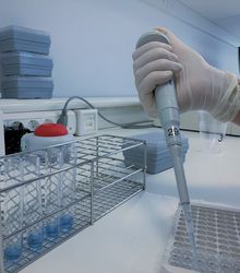 Pipettieren von Proben in der Kerckhoff-Klinik