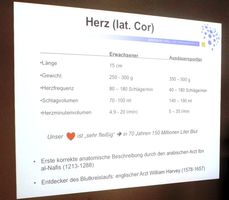 Was leistet das Herz