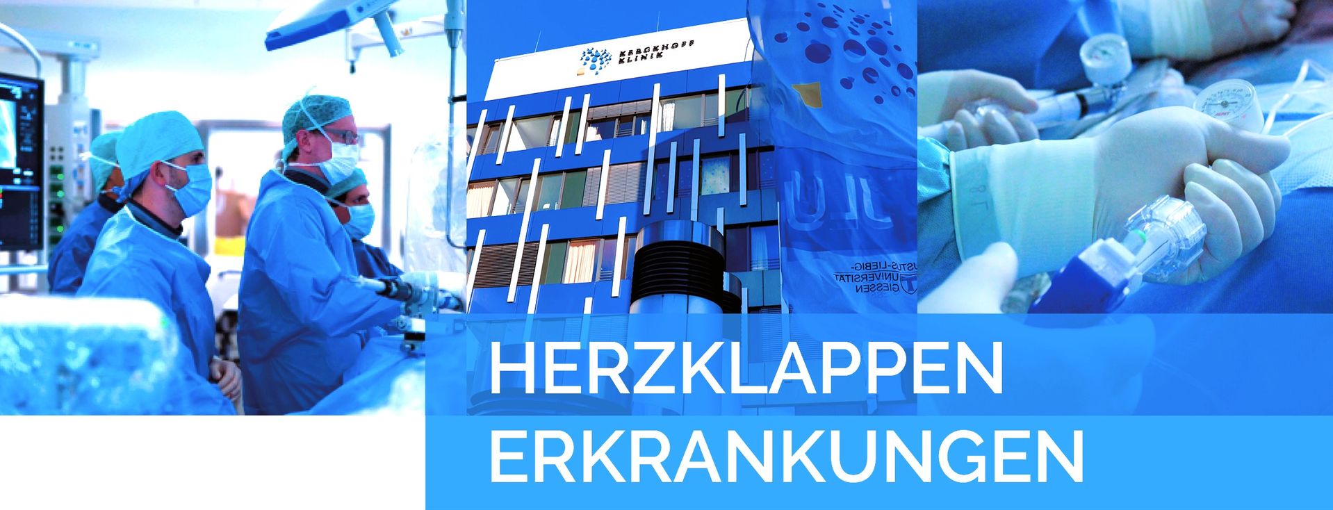 Herzklappenerkrankungen Diagnostik und Therapie