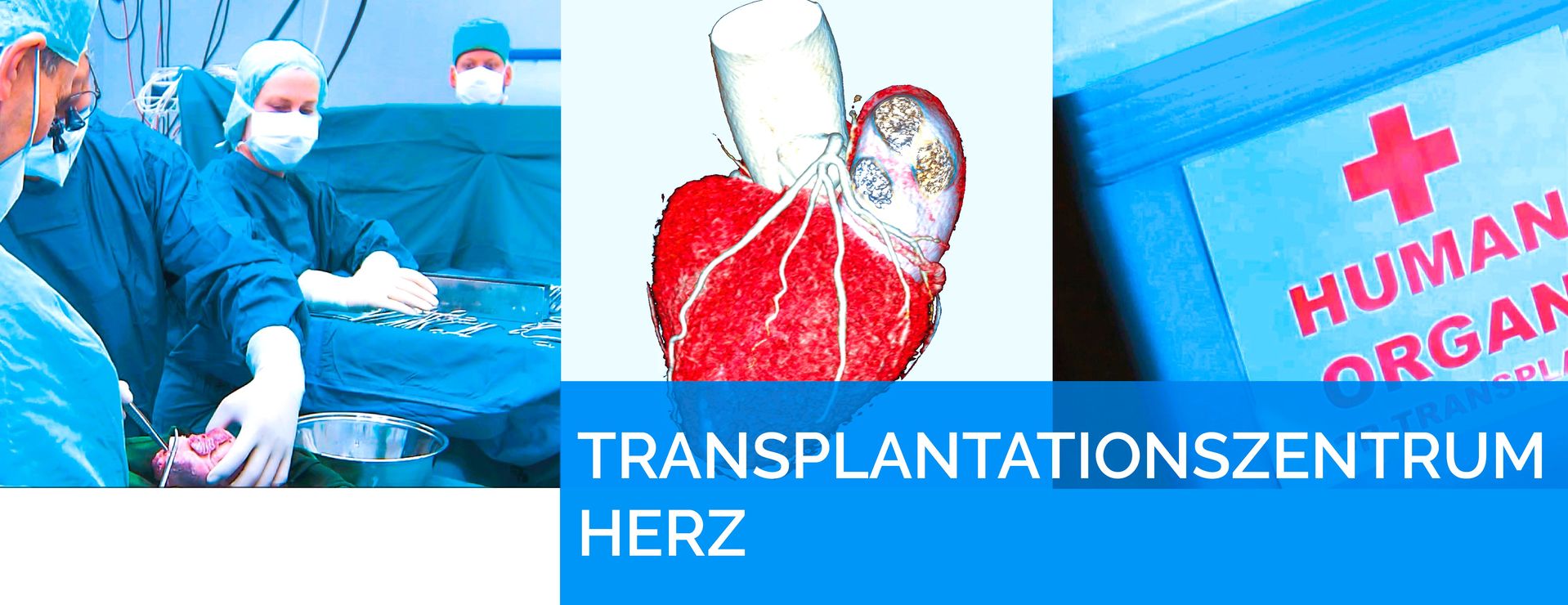 Herztransplantation